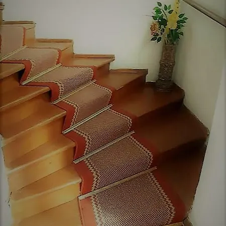 Apartment Palace De Dominis *